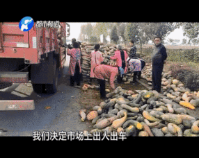 大姐吃瓜群众视频