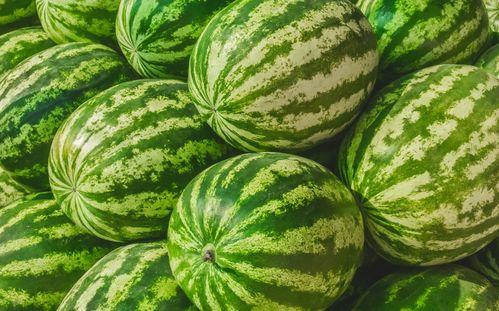 在哪找吃瓜的视频素材啊,全网热门吃瓜视频素材搜集攻略