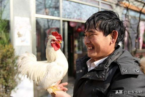 朱之文正在吃瓜视频,揭秘娱乐圈幕后趣闻