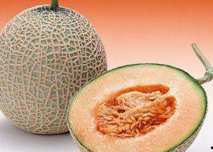 猴王吃哈密瓜视频播放下载,哈密瓜视频播放下载热潮